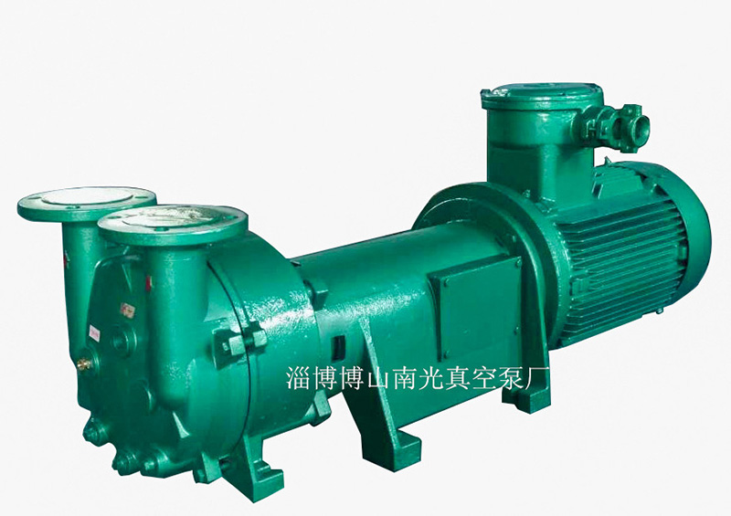 2BV6161防爆真空泵